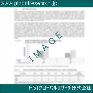 グローバルリサーチ調査資料のイメージ